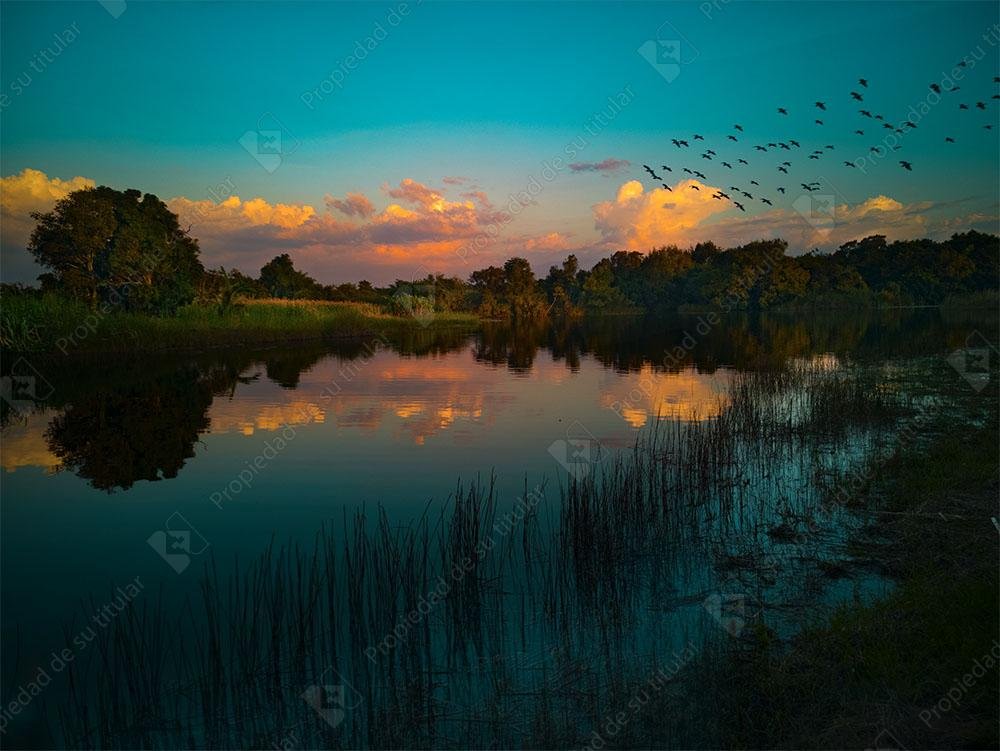 Atardecer en el lago