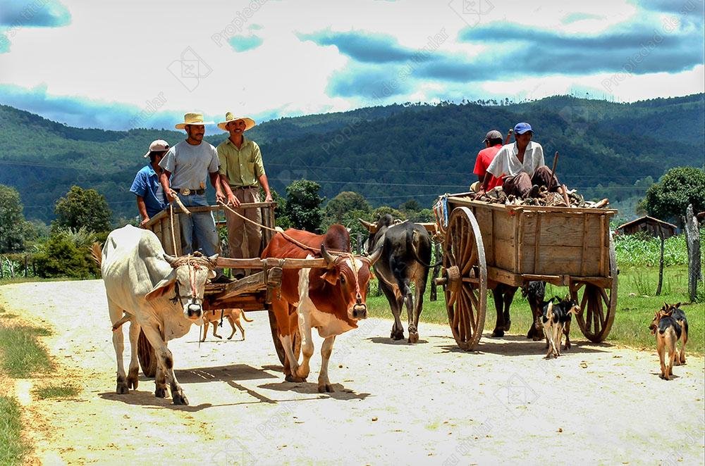 Cruce de Carretas