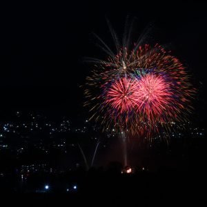 Flores de fuego
