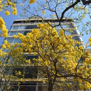 Hotel y primavera