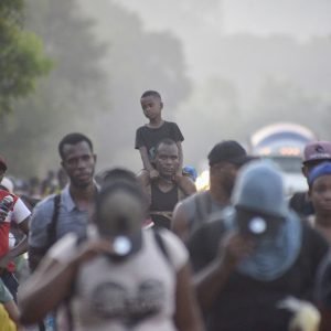 Migración colectiva
