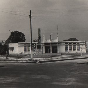 Museo animales disecados