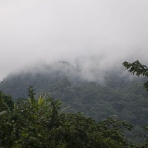 Neblina 1