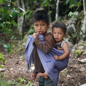 Niños en cafetal