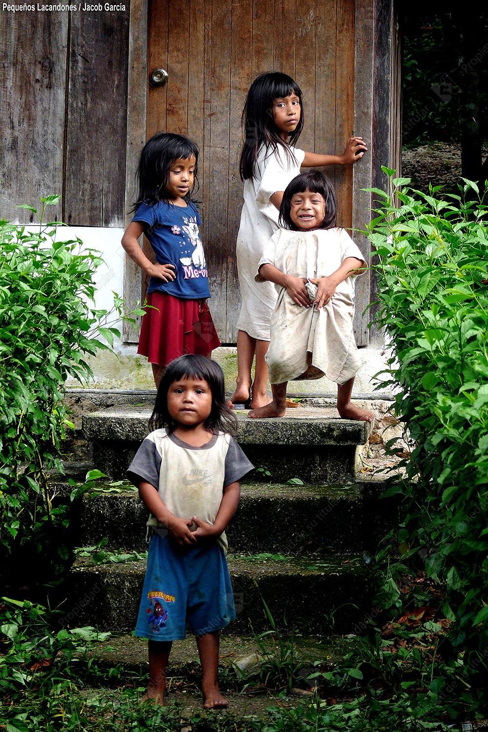 Pequeños Lacandones