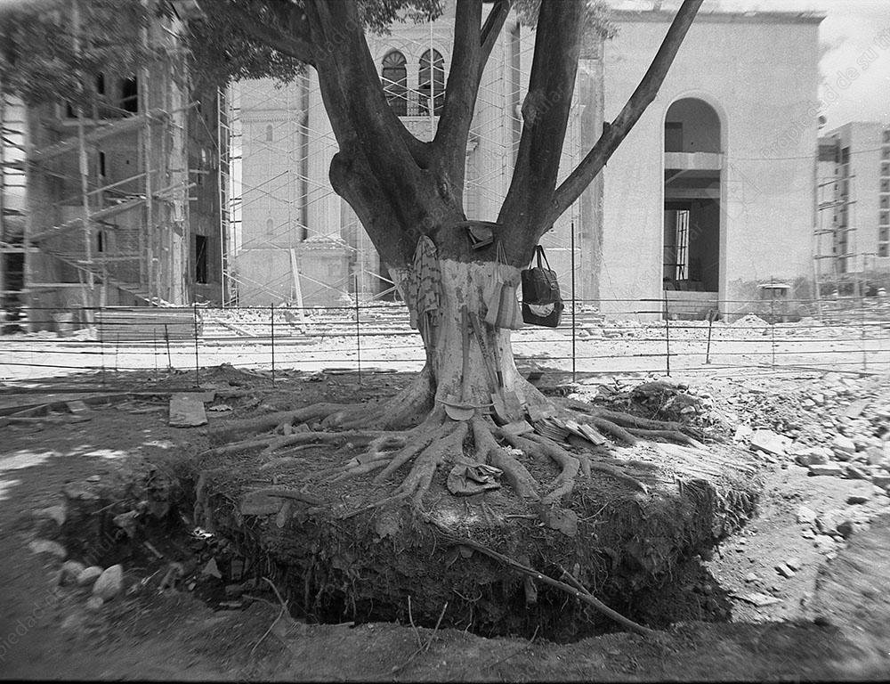 Raices