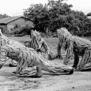 Tigres 1 (Danza del calalá)