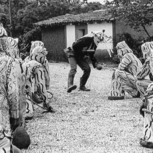 Tigres 6 (Danza del calalá)