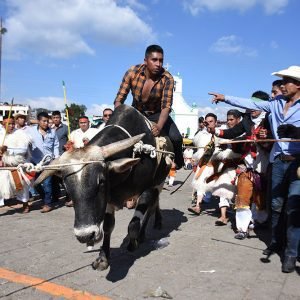 Torito