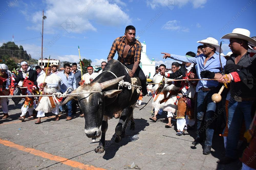 Torito
