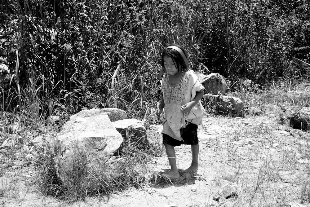 Niña en campo