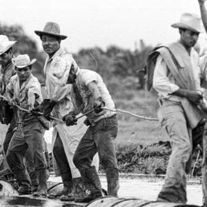 Trabajadores sosteniendo cableado 1