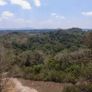 Transmutación de los elementos, Selva baja caducifolia