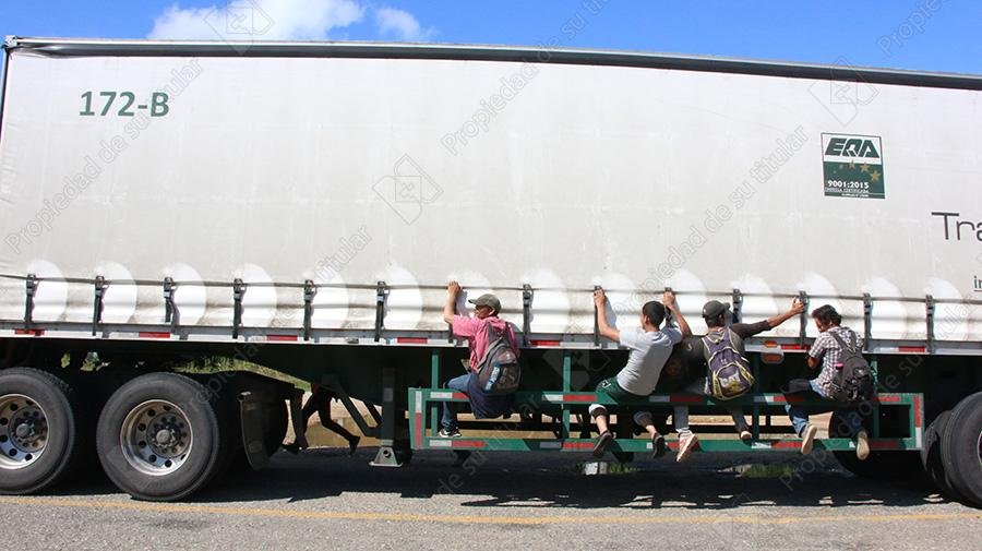 Arnés de seguridad