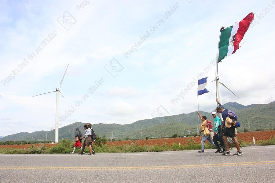 Banderas de patria