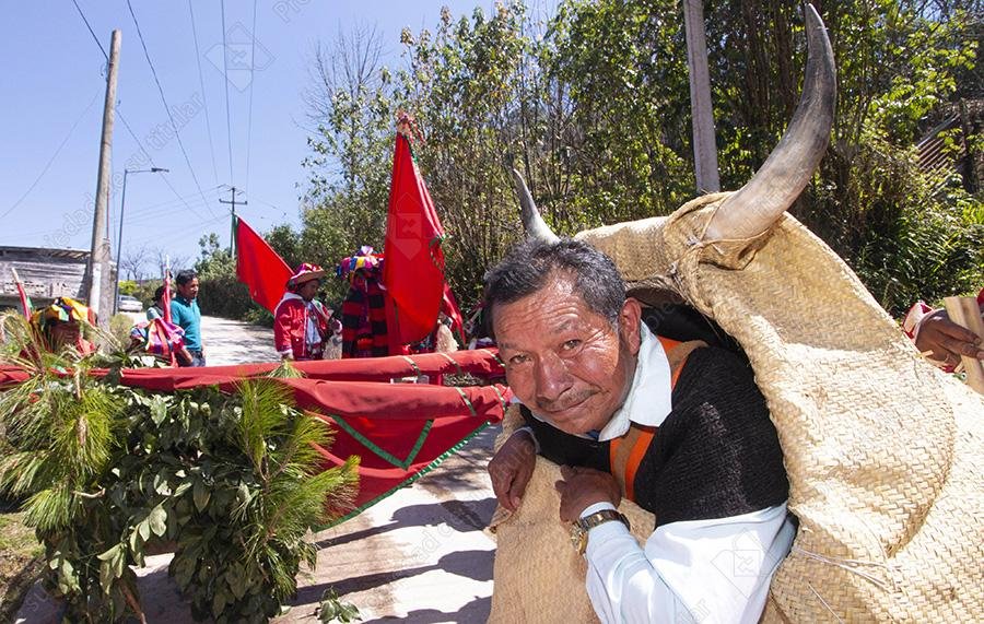El recorrido de la vaca